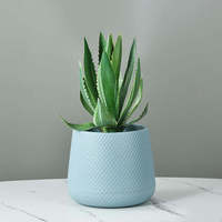 Support moderne d'extérieur bon marché pot de fleur décoratif vente écologique jardinières en plastique PE fleurs de jardin plantes vertes cactus grand pot