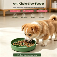 Gamelle anti-étouffement en silicone de qualité alimentaire pour animaux de compagnie, gamelle lente pour chien, gamelle lente pour chat, gamelle labyrinthe pour l'alimentation quotidienne des animaux