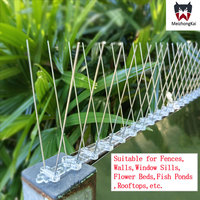 Picots anti-oiseaux en acier inoxydable de 25 cm, dissuasif pour toit et fenêtre, anti-escalade, répulsif pour pigeons