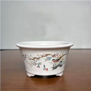 Chậu cây cảnh bonsai gốm sứ trắng nhỏ, thủ công, chất lượng cao, bền, họa tiết vẽ tay, thích hợp cho nhà cửa, vườn, cây hoa, trung tâm thương mại - Product Image 4