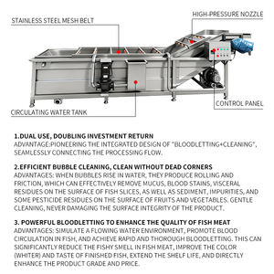 Tam Otomatik Sürekli Su Balık Kabarcık Temizleme Makinesi Sebze Patates ve Havuç Fırçalı Temizleme Yıkama Makinesi - Product Image 2