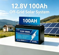 Batterie au lithium LiFePO4 Desay 12V 24V 100Ah-400Ah 6000 cycles - Température de fonctionnement de -20 à 60°C pour utilisation en voiture et camion (AGM)