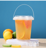 300ml 500ml 750ml 1000ml 1500ml 2000ml 2500ml 3000ml 4000ml 5000ml Seau à fruits avec couvercle, poignée et paille