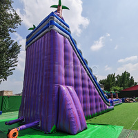 Toboggan aquatique gonflable commercial à double piste avec longue glissière, toboggan aquatique tropical palmier avec piscine, aire de jeux extérieure
