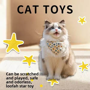 Jouet pour chat en forme de gourde de soie, en forme d'étoile de mer, pour nettoyer les dents, contient de la catnip, fournitures pour animaux de compagnie naturelles - Product Image 3