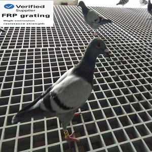 Chim bồ câu tầng FRP Grating 19*19 38*38 Mét nền tảng lối đi rãnh Bìa lõm FRP Grating với gia cầm lồng FRP Grating - Product Image 4