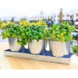 <span class=keywords><strong>Pot</strong></span> <span class=keywords><strong>de</strong></span> fleurs d'<span class=keywords><strong>intérieur</strong></span> pour plantes, jardinage, vente en gros, Pots <span class=keywords><strong>de</strong></span> fleurs décoratifs en métal pour herbes, vente en gros - Product Image 2
