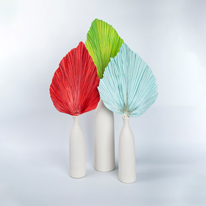 2022 Chaud Naturel Plante Sèche Tropical Spear Palm Variété Couleur Feuilles De <span class=keywords><strong>Palmier</strong></span> Séchées Feuilles De <span class=keywords><strong>Palmier</strong></span> Séchées Fleurs De Mariage - Product Image 5