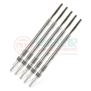 OE 5011725189 Aksesoris Busi Pijar Mesin Diesel Mobil untuk GREAT WALL GW4D20M PAO Fengjun 7 Poer KingKong Pickup - Product Image 1