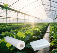 Film de serre pour jardin de semis, couverture en plastique transparent anti-buée pour favoriser la croissance saine des plantes