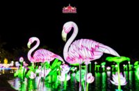 Équipement extérieur de jeu de l'eau de lanterne Animatronic de flamant rose pour des parcs d'attractions et de thème
