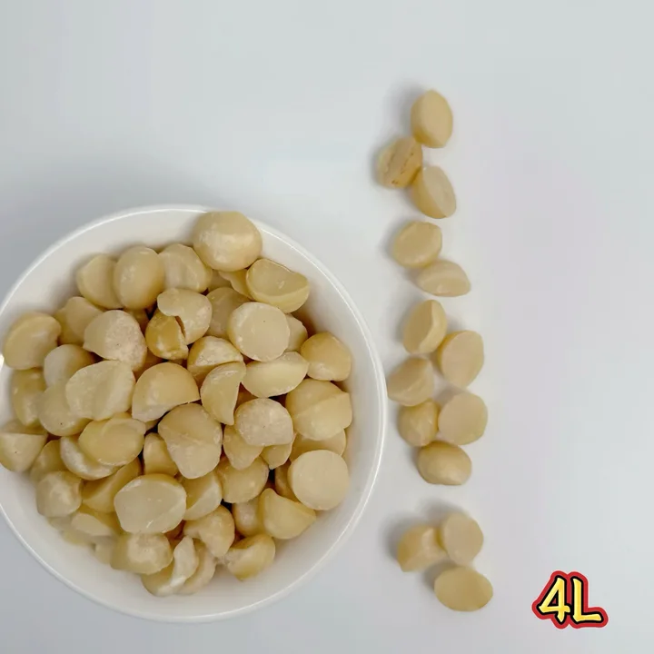 Organic Macadamia Nuts in Bulk Healthy