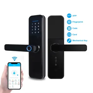 Biomtr codice di impronte digitali TTlock intelligente serratura della porta della fabbrica all'ingrosso carta chiave Nfc Rfid serratura elettrica per la casa porta in legno