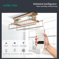 Séchoir à linge électrique intelligent OEM, produit tendance pour la maison intelligente, séchoir à linge de plafond Tuya, séchoir de balcon, intérieur et extérieur
