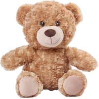 Ventes chaudes : ours en peluche brun personnalisé, souvenirs en peluche douce, cadeaux
