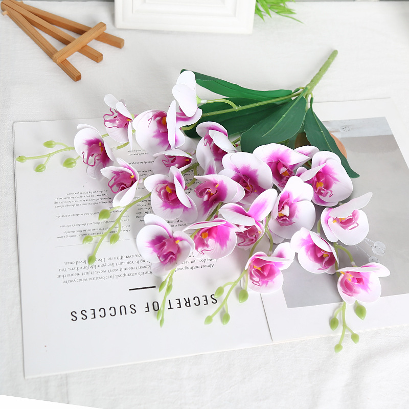 Orchidée papillon à cinq branches à noyau rose