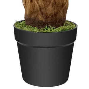 Planta de decoración del hogar directamente de fábrica, Sago <span class=keywords><strong>cycas</strong></span> artificiales para decoración de interiores - Product Image 6