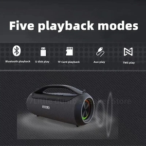 Sodlk T300 T300plus Âm Thanh Máy Nghe Nhạc Với Không Dây Mic Khối Lượng Cuộc Sống Ban Nhạc Hệ Thống Loa Công Suất Lớn Cao End Ngoài Trời Âm Nhạc Loa - Product Image 2