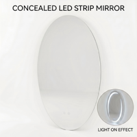 Miroir Ovale LED Kingstin Minimaliste - Miroir de Maquillage Intelligent Rétroéclairé Haut de Gamme