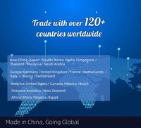 Caméra LPR Japonaise - Caméra LPR fiable avec reconnaissance faciale pour aéroport - Livraison pratique porte-à-porte