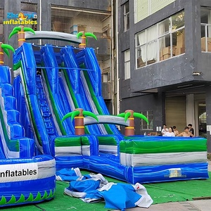 Toboggan aquatique gonflable géant de haute qualité pour adultes, toboggan aquatique gonflable commercial avec piscine - Product Image 3