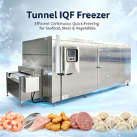 Vicmai Automatische PLC-gestuurde continue IQF tunnelvriesinstallatie (-40 tot 0°C) voor visverwerkingsbedrijven, dumplings en nuggets