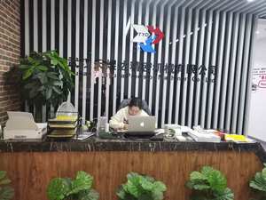 مفتاح عزم يدوي قابل للتعديل TYD-1/2 بقوة 210 نيوتن متر - Product Image 4