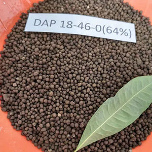 Chất lượng cao NH4 2hpo4 DAP 18 46 00 phân bón diammonium Phosphate từ Trung Quốc - Product Image 4