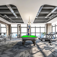 Usine Hôtel Professionnel Salle De Billard Salle De Réunion Tapis Chambres D'hôtel Akmeister Tapis Hôtel