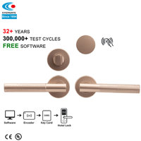 La conception exquise professionnelle s'adapte à la tendance de la mode Smart Security Hotel Wireless Key Rfid Card LOCK Hotel Door Lock