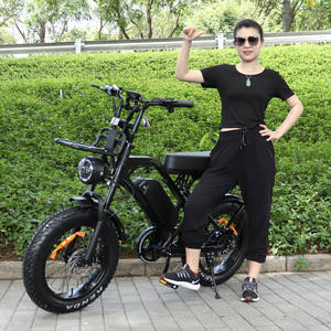 X80 프로 EU 창고 Fatbike V20 프로 250W Ebike Velo 전기 자전거 모터 더블 시트 자전거 전기 사이클 - Product Image 2