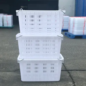 Linhui Pe 제조 친환경 친환경 식품 학년 플라스틱 빵 상자 사용