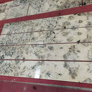 무료 샘플 천연 광택 알파인 화이트 화강암 석판 - Product Image 3