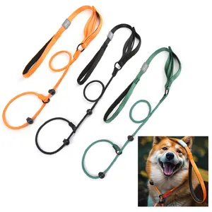 Wholesale Integrated Dog Rope P-chain Explosion-proof Dog Slip Rope Lead Nylon Adjustable Pet Dog Traction Rope Leash