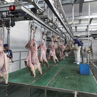Chaîne de production clé en main pour l'abattage de moutons et d'agneaux, avec moteur, roulement et acier inoxydable 304