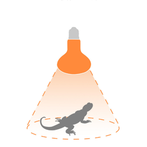 <span class=keywords><strong>Lampe</strong></span> <span class=keywords><strong>chauffante</strong></span> infrarouge LED pour animaux, <span class=keywords><strong>lampe</strong></span> de bain de soleil UVA pour tortues - Product Image 4