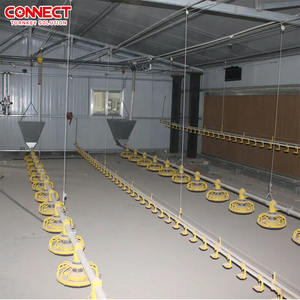 Sistema Automático de Alimentación de Aves de Corral de Alta Eficiencia, Línea de Alimentación de Pollos de Engorde Duradera - Product Image 6