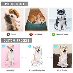 Oreillers personnalisés confortables pour animaux de compagnie pour dormir Double face doux 3D corps <span class=keywords><strong>visage</strong></span> coussins divers dessins animés animaux plantes - Product Image 2