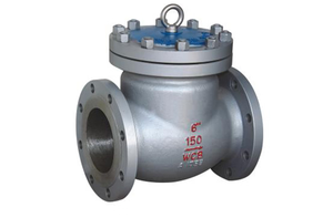 Válvula de Retención de Acero al Carbono Clase 150 con Brida RF RB ASTM A216 WCB Industrial - Product Image 2