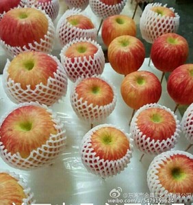 Petit arbre de pomme artificiel en plastique hautement réaliste avec fil de fer pour l'aménagement paysager, le jardinage, la décoration de la maison, des hôtels, des bureaux et des magasins - Product Image 5