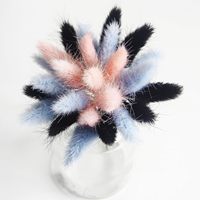 60 Pcs Rumput Pampas Kering Lagurus Ovatus 17-inci, Paket Besar, Bunga Kering Blue Bunny Tails untuk Dekorasi Pernikahan Boho