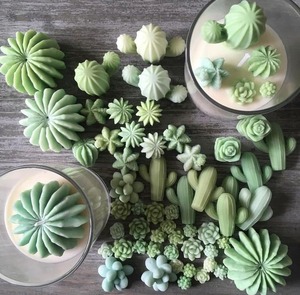 Paquete de 9 Moldes de Silicona para Suculentas, Moldes de Resina para Flores y Velas 2. Molde de silicona 3D con forma de cactus para hacer velas, jabones y resina - Product Image 5