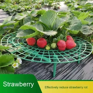 <span class=keywords><strong>Support</strong></span> de fraise Anti-pourriture direct d'usine pour balcon <span class=keywords><strong>support</strong></span> de Pot de fleur de légumes en pot pour cour jardinage plante escalade - Product Image 2