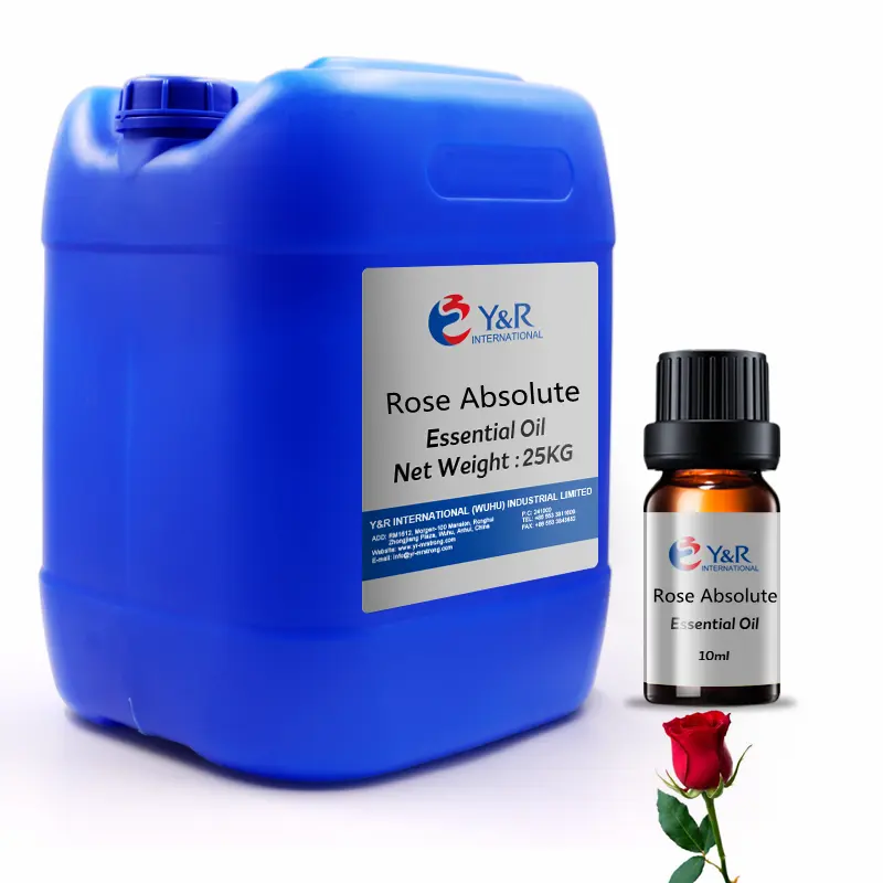 Most Valuable Rose Absolute Essential Oil Extracted From Rosa Damascena
