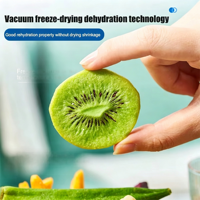 Grote industriële vriesdrooginstallaties voor voedsel- en fruitverwerking, vacuümdroger, Chinese leverancier