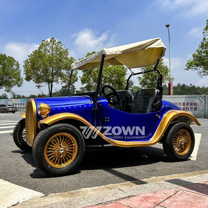 Coche Eléctrico Vintage Azul Dorado de Dos Plazas con Toldo para Transporte Turístico en Resorts Panorámicos - Product Image 1