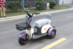 Vente en gros <span class=keywords><strong>Tricycle</strong></span> électrique 3 roues d'<span class=keywords><strong>occasion</strong></span> <span class=keywords><strong>pas</strong></span> <span class=keywords><strong>cher</strong></span> pour adultes - Product Image 3