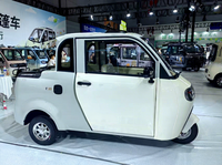 Tricycle électrique à basse vitesse, carrosserie fermée, châssis en acier robuste, 2 places, mini camionnette pour le transport de petites charges