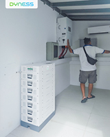 Sistema de almacenamiento de energía solar Dyness Stack100 de alto voltaje 51.2v, apilable, de 30kw 40kw, con batería de iones de litio LifePO4.