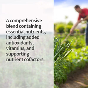 Cápsulas de Folato Bioactivo + Vitamina B12 OEM |   L-5-MTHF 680mcg DFE |   Metil B12 300mcg |   Vegan 30 Cápsulas - Product Image 3